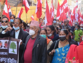 सडकमा भेटिएको काँग्रेस तस्विरमा (फोटो फिचर)