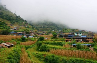 ढोरपाटनमा थप दुई जनामा दादुरा सङ्क्रमण पुष्टि