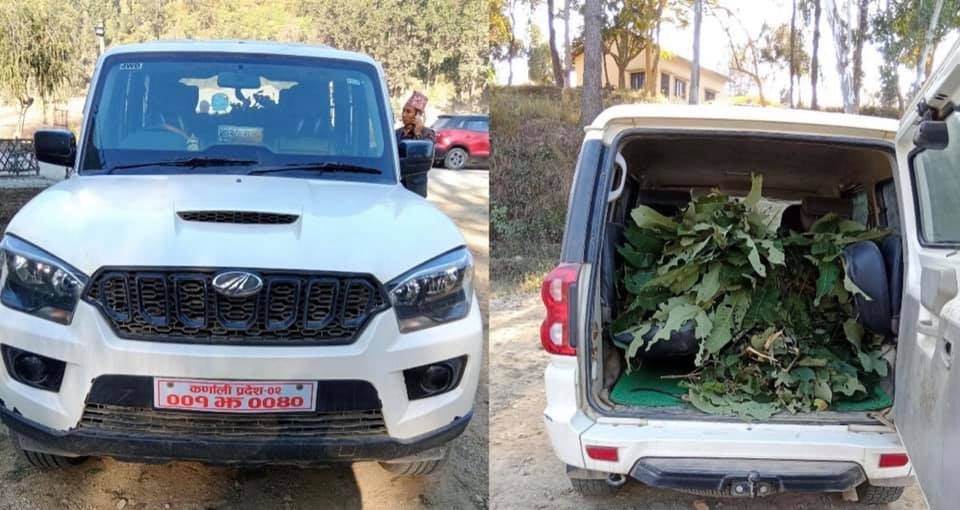 सरकारी गाडी घाँस बोक्न प्रयोग : योभन्दा लज्जास्पद विषय अरु के हुन्छ ?