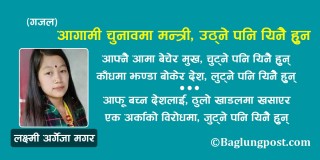 आगामी चुनावमा सांसद, उठ्ने पनि यिनै हुन (गजल)