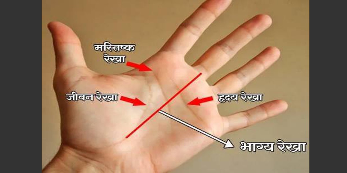 हत्केलामा भएको कुन रेखाले के  भाग्य देखाउँछ ? हेर्नुहाेस्