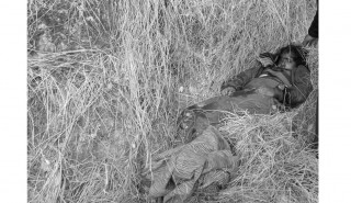 बडिगाडमा घाँस काट्ने क्रममा भिरबाट लडेर एक जनाको मृत्यु
