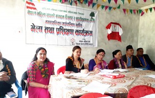 बरेङमा नेपाल महिला संघको संगठन सुदृढिकरण अभियान