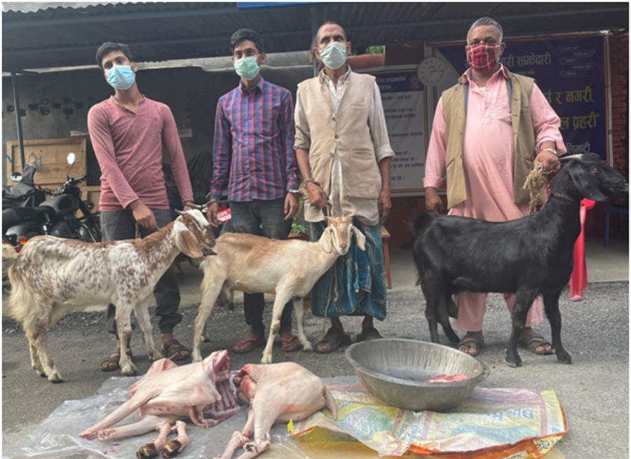 बाख्रीको मासु बेच्ने ४ जना पक्राउ