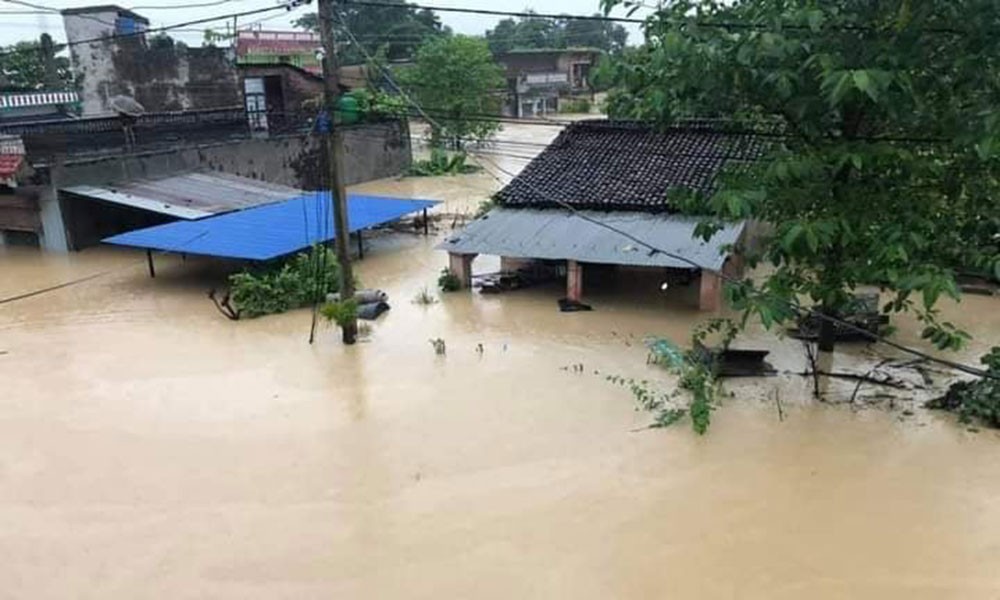 बाढीपहिरो र डुबानमा परी ९१ जनाको मृत्यु