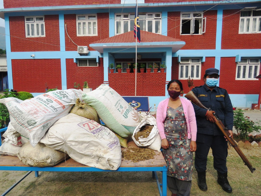 २५० किलो सुनाखरी सहित महिला पक्राउ 