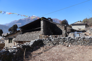 अवसरको खोजीमा शहर पस्दै ढोरपाटनका तिब्बती शरणार्थी