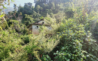 मलामी पनि नभेटिने गरी रित्तिएको गडीगाउँमा वनमाराको राज