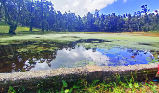 रुद्रतालको संरक्षण गर्दै ढोरपाटन