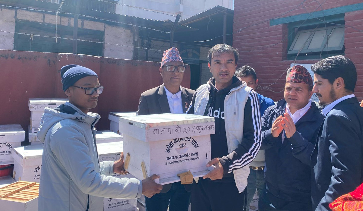 बागलुङ नगरपालिकाले दियाे किसानलाई अनुदानमा मौरीसहितका घार वितरण