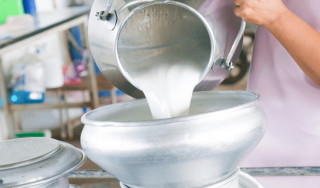दूध बेचेर मासिक रु एक लाखसम्म बचत गर्दै व्यवसायी सापकोटा