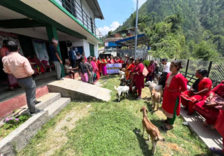 मालिकामा बाख्रा उपहार प्रदान