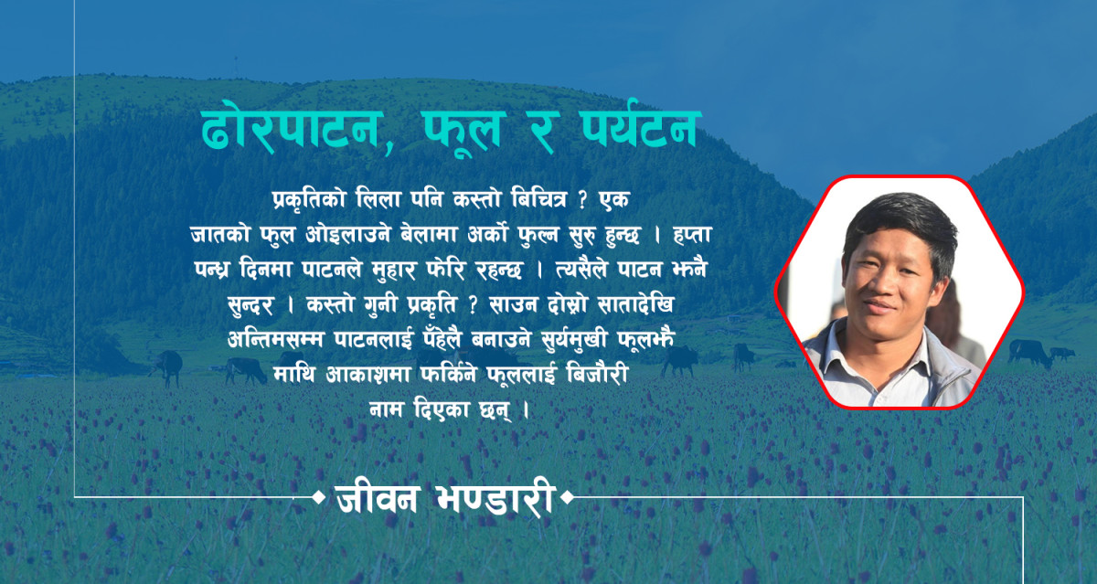 ढोरपाटन, फूल र पर्यटन